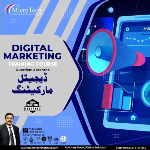 Digital marketing course by microtech institute sialkot