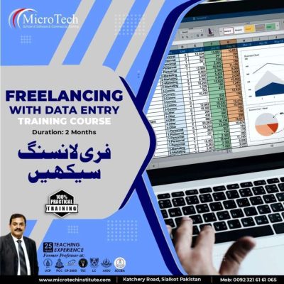Freelancing with Accounting Data Entry Course