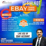 "Microtech Institute eBay Selling Course Overview"