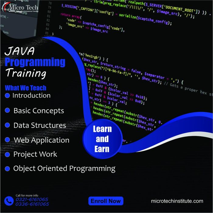 Java Programming Language Course - Microtech Institute for Import ...